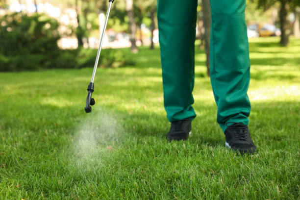 Best Residential Pest Control  in Chilhowie, VA