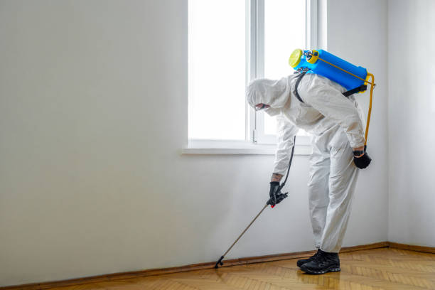 Best Pest Prevention Services  in Chilhowie, VA