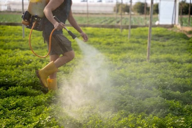 Best Best Pest Control Companies  in Chilhowie, VA